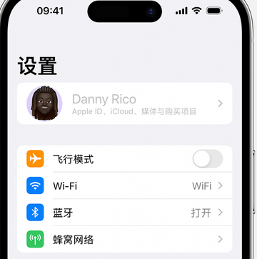 桐梓appleID维修服务iPhone设置中Apple ID显示为灰色无法使用 