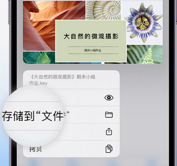 桐梓apple维修中心分享iPhone文件应用中存储和找到下载文件