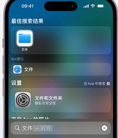 桐梓apple维修中心分享iPhone文件应用中存储和找到下载文件 