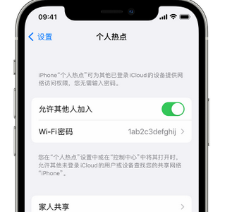 桐梓apple服务站点分享iPhone上个人热点丢失了怎么办 