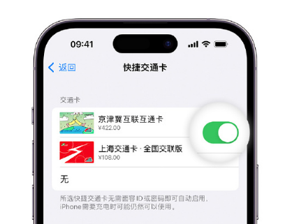 桐梓apple维修点分享iPhone上更换Apple Pay快捷交通卡手绘卡面 