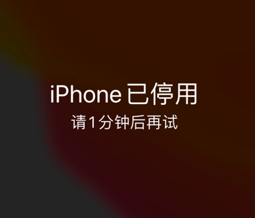 桐梓苹果手机维修分享:iPhone 显示“不可用”或“已停用”怎么办？还能保留数据吗？ 