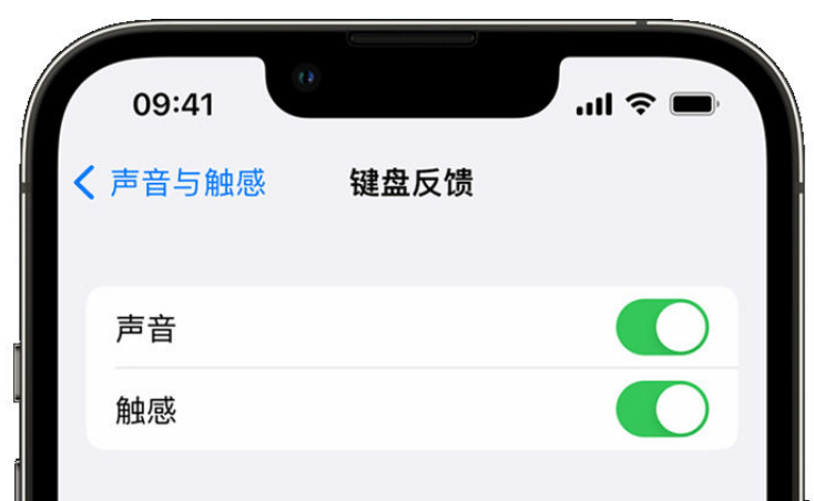 桐梓苹果手机维修分享iPhone 14触感键盘使用方法 