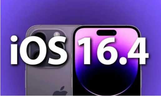 桐梓苹果14维修分享：iPhone14可以升级iOS16.4beta2吗？ 