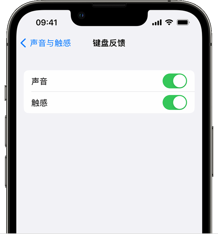 桐梓苹果14维修店分享如何在 iPhone 14 机型中使用触感键盘 