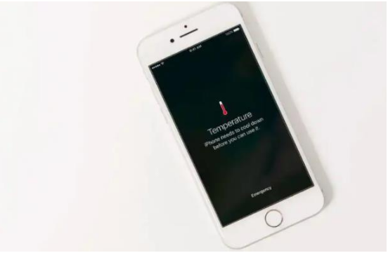 桐梓苹果手机维修分享iPhone 手机发热如何快速降温 