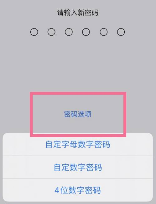 桐梓苹果14维修分享iPhone 14plus设置密码的方法 