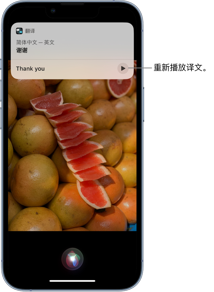 桐梓苹果14维修分享 iPhone 14 机型中使用 Siri：了解 Siri 能帮你做什么 