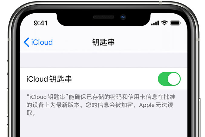 桐梓苹果手机维修分享在 iPhone 上开启 iCloud 钥匙串之后会储存哪些信息 