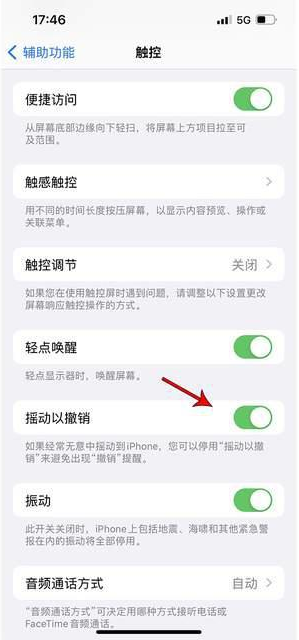 桐梓苹果手机维修分享iPhone手机如何设置摇一摇删除文字 